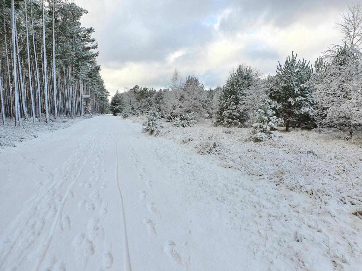 Kuestenliebe 8 Graal-Mueritz Eksteriør billede